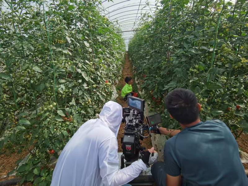 天水产品宣传视频拍摄公司进阶指南，助力品牌抢占传播高地